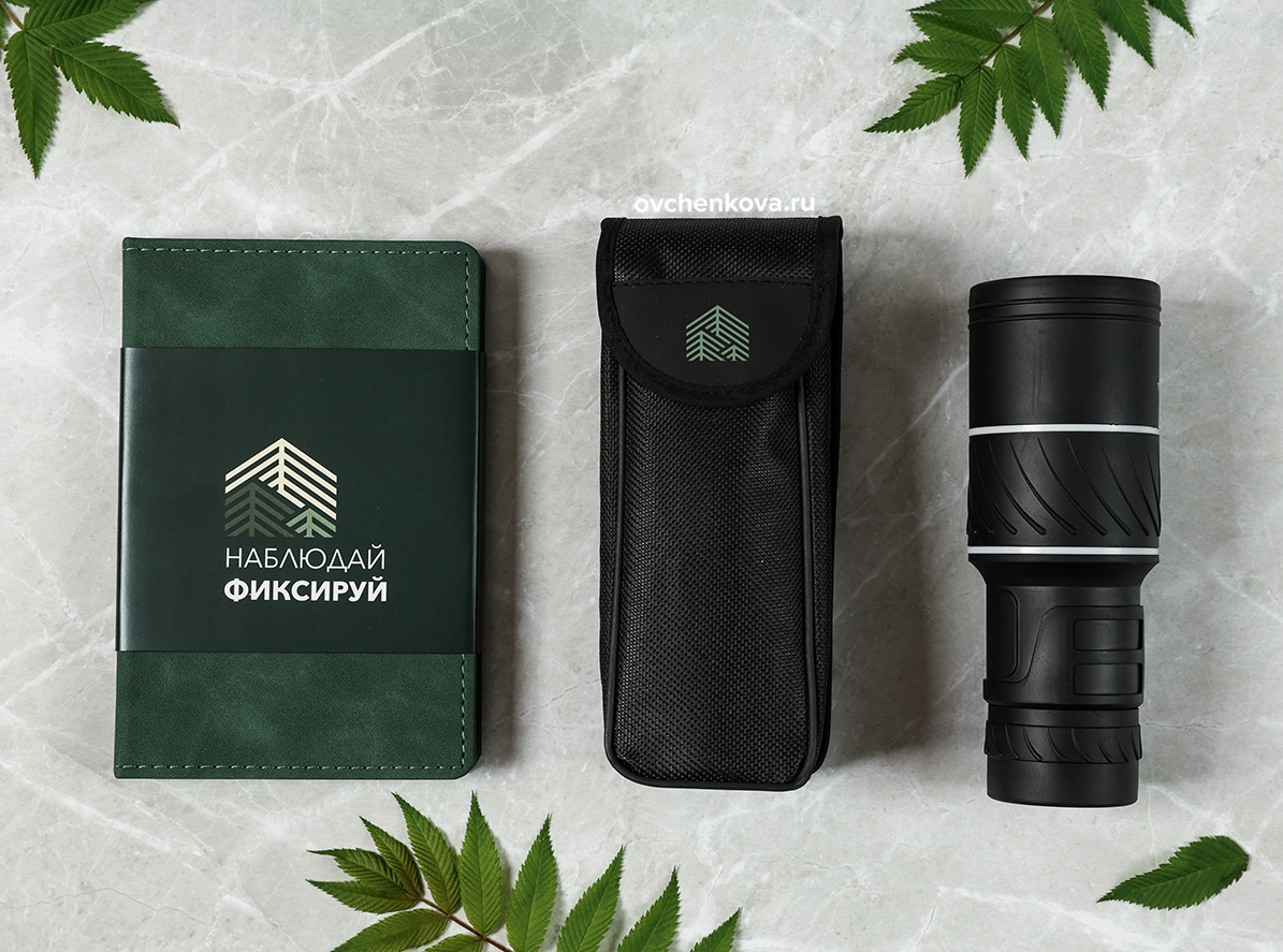 В фокусе