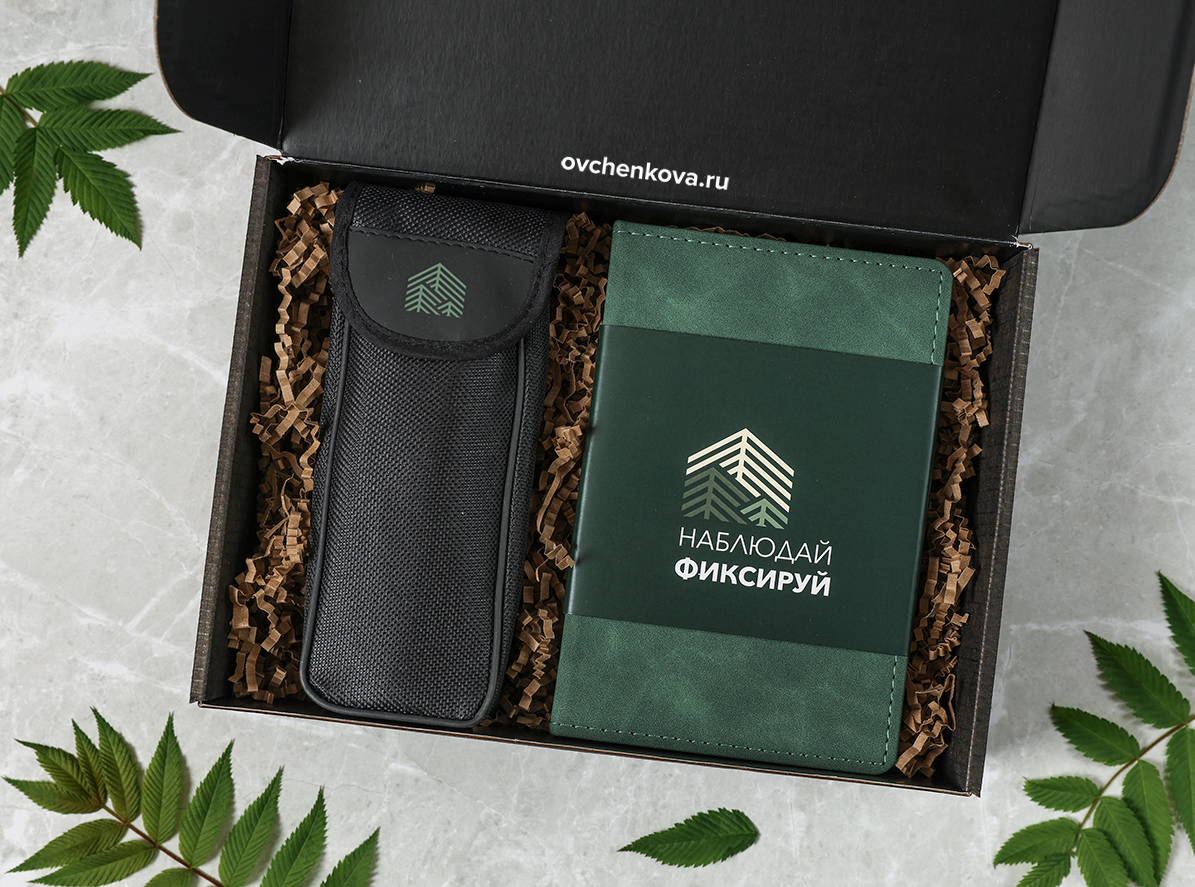 В фокусе