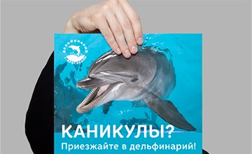 Плакат "Каникулы" для Ярославского Дельфинария