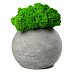 Кашпо бетонное со мхом (сфера-маренго мох зеленый)
