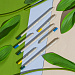 Набор растущих карандашей mini, 2 шт с семенами голубой ели и сосны