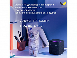 Умная колонка ЯНДЕКС Станция Миди с Алисой, с Zigbee, 24 Вт (Умная колонка ЯНДЕКС Станция Миди с Алисой, с Zigbee, 24 Вт, цвет: черный (YNDX-00054BLK))