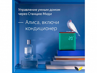 Умная колонка ЯНДЕКС Станция Миди с Алисой, с Zigbee, 24 Вт (Умная колонка ЯНДЕКС Станция Миди с Алисой, с Zigbee, 24 Вт, цвет: черный (YNDX-00054BLK))