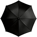 Зонт-трость "Lisa" полуавтомат 23", черный (Р)