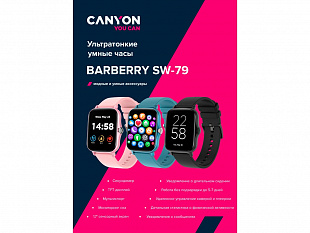 Умные часы «Barberry SW-79», IP67 (Умные часы CANYON Barberry SW-79, IP 67, BT 5.1, сенсорный дисплей 1.7, черный)