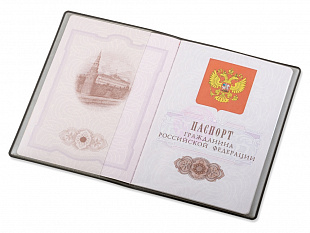 Классическая обложка для паспорта "Favor", светло-серая