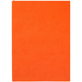 Ежедневник Flat, недатированный, оранжевый, без ляссе