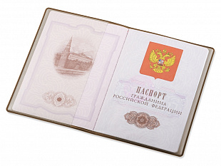Классическая обложка для паспорта "Favor", бежевая